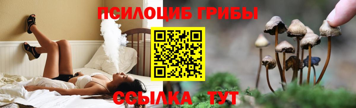 Галлюциногенные грибы Psilocybine cubensis  Псилоцибиновые грибы прущие грибы  Вход с VPN  Ижевск 